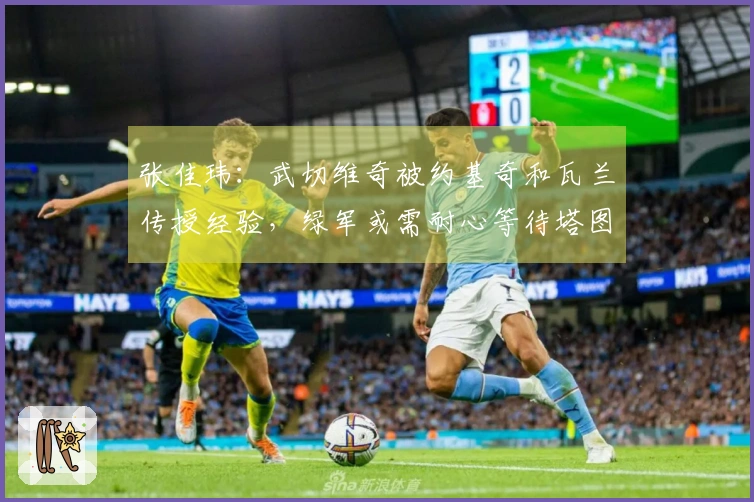 张佳玮：武切维奇被约基奇和瓦兰传授经验，绿军或需耐心等待塔图姆复出