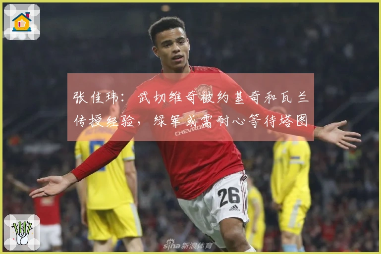 张佳玮：武切维奇被约基奇和瓦兰传授经验，绿军或需耐心等待塔图姆复出